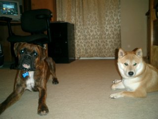 Best Friends