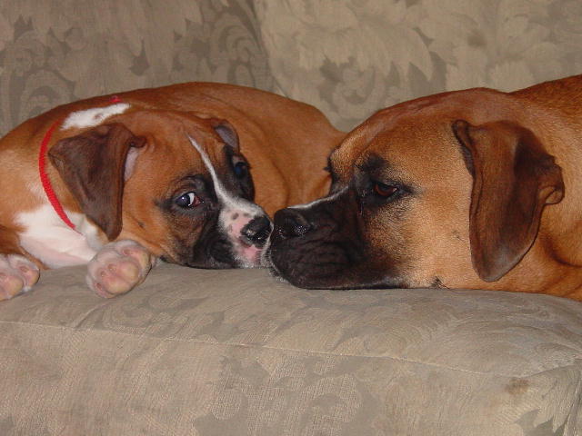 Best Friends