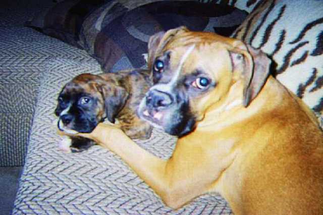 Best Friends