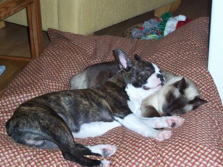 Best Friends
