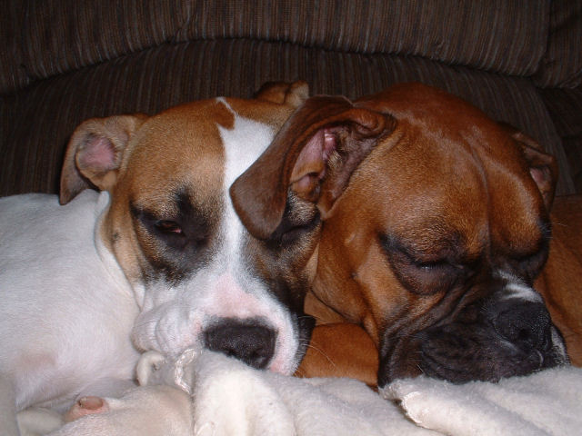 Best Friends