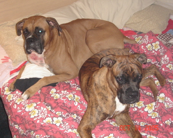Best Friends