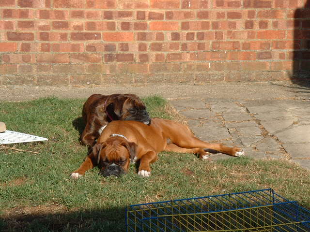 Best friends