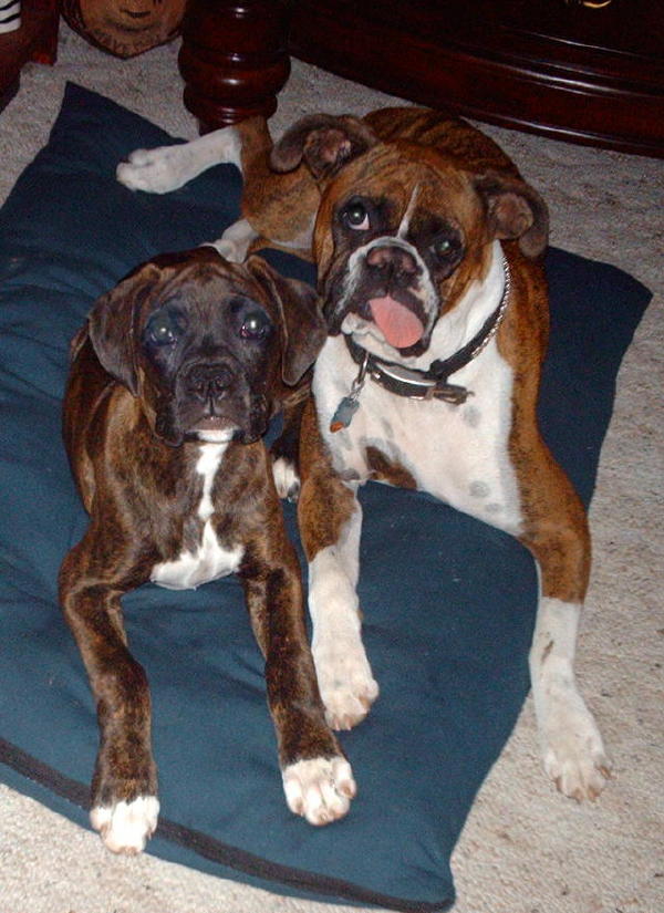 Best friends