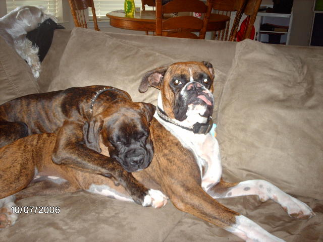 Best Friends