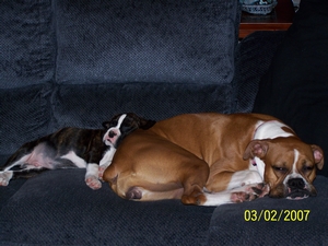 Best Friends