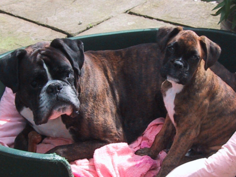 Best Friends