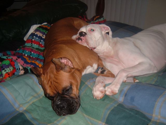 Best kind of pillow!