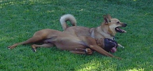 best of friends