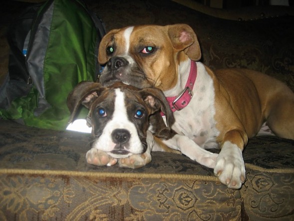Best of Friends
