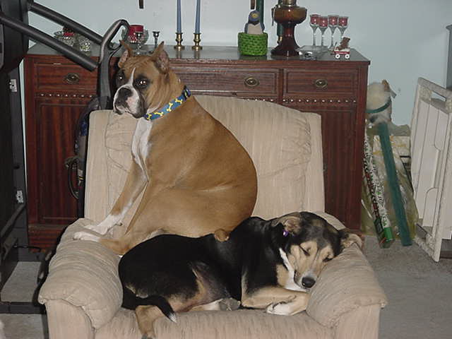 Best seat in the house!