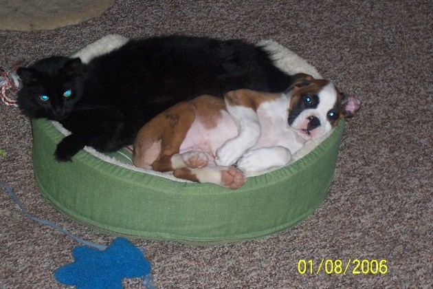 Best_buds