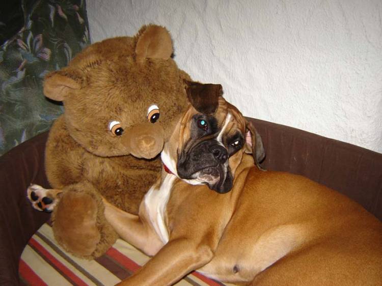 Best_Friends