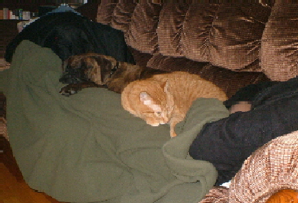 bestfriends