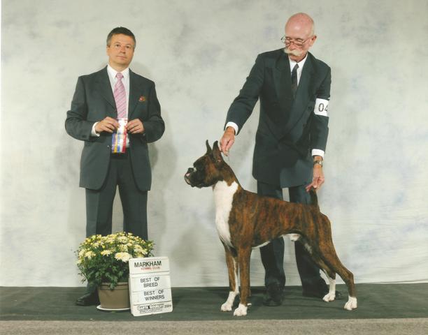 Bestinbreed
