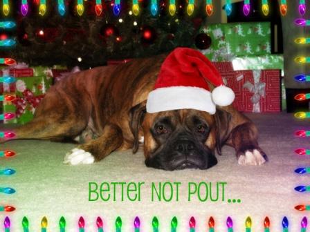 Better Not Pout