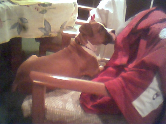 Bettis