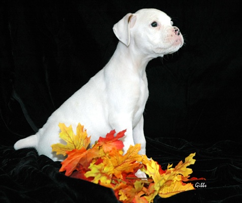 betty 7 wks