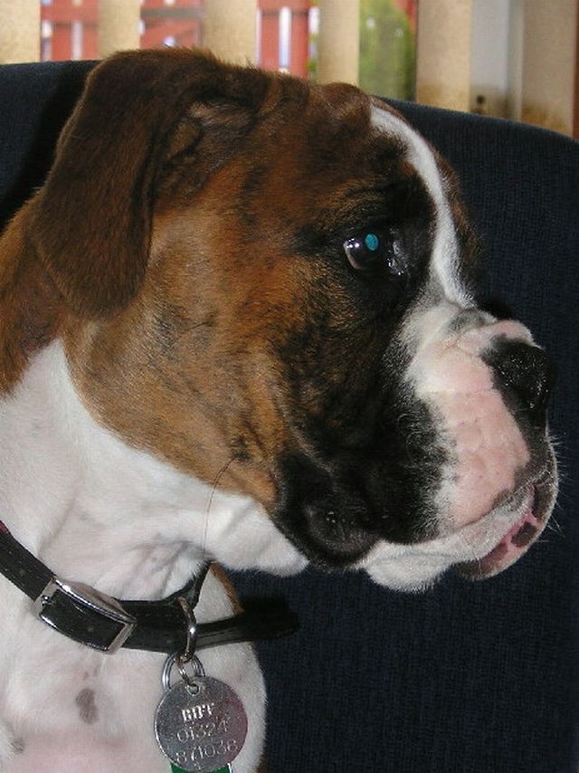 Biff 14 weeks