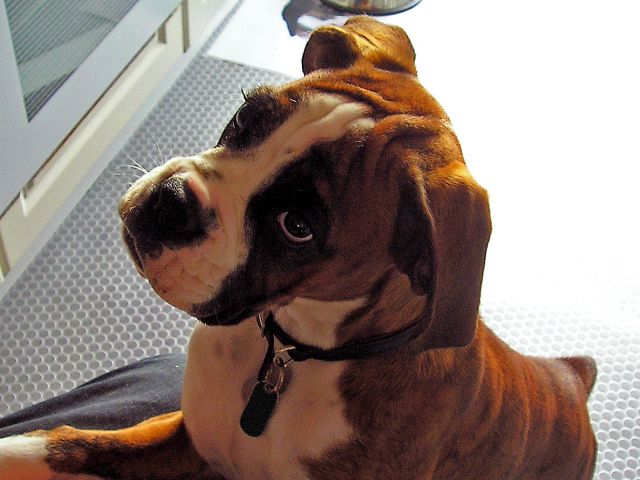 Biff 4 months