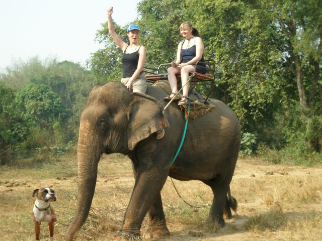 Biff in Thailand.....