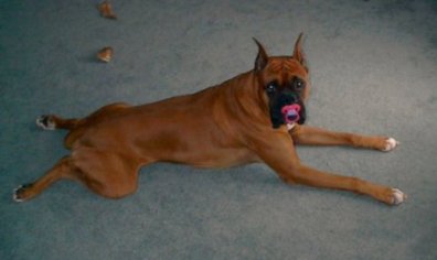 Big Baby!