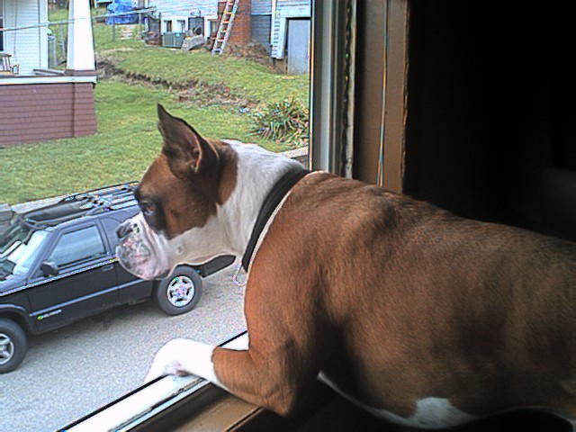 "Big Bing is watching...."