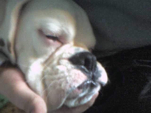 big bottom lip!