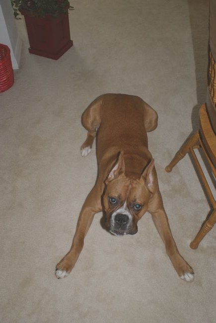 Big Boy Hurley