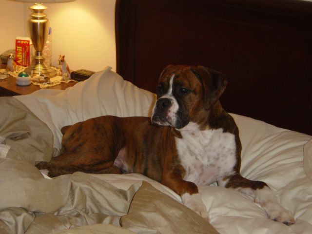 big boy