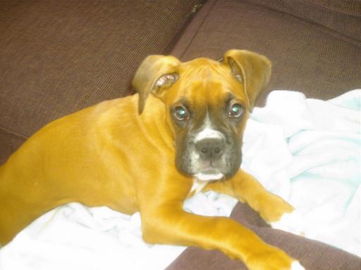 BIG boy!