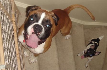 big bro, little bro