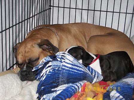 Big brother and little sister...