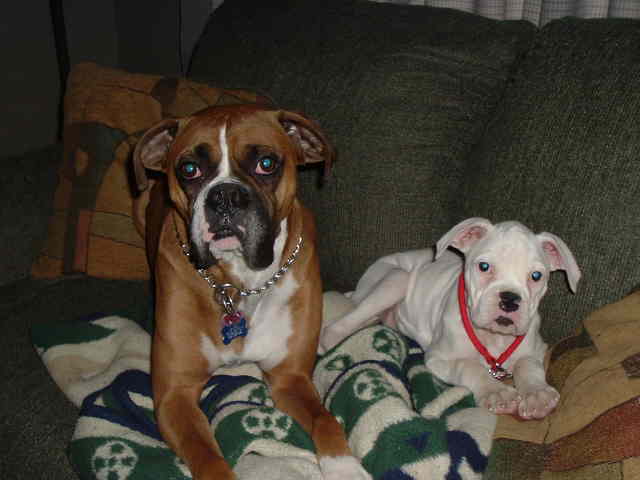 Big brother & Little sister