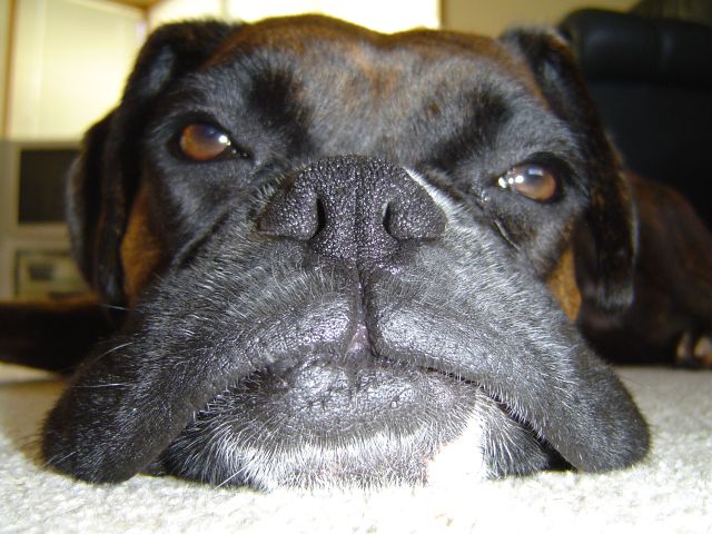 Big face