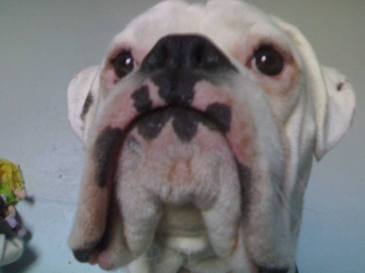 Big flappy lips!