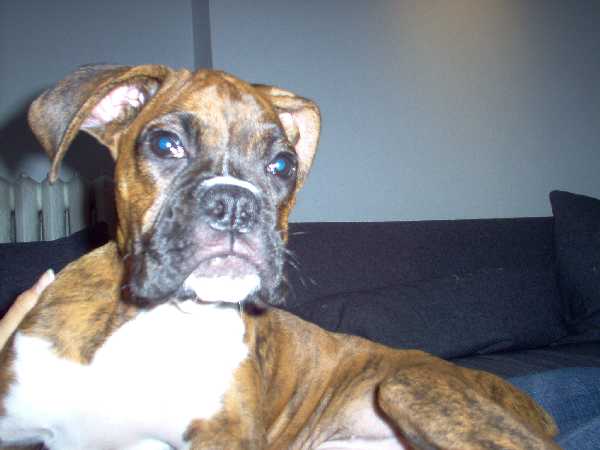 Big girl @14 wks