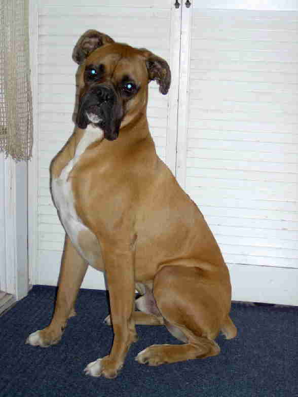 Big handsom boy