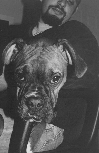 Big head Sienna