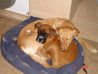 Big Hug