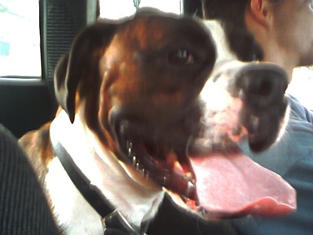 big mouth