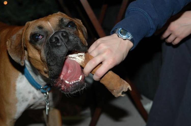 Big Mouth