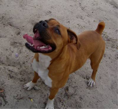 Big Mouth!
