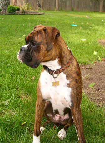 Big Otis = Maste of his domaine