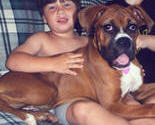 Big puppy