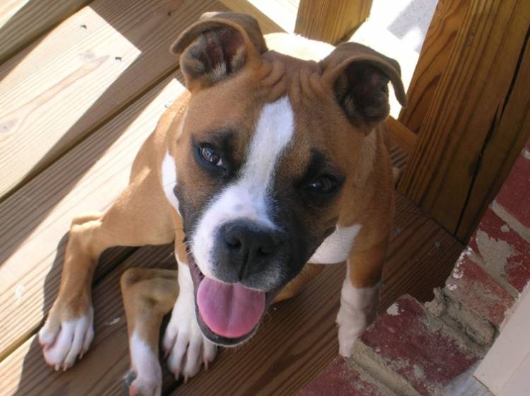 Big Scooter at 6 months