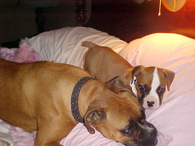Big sister/Little brother