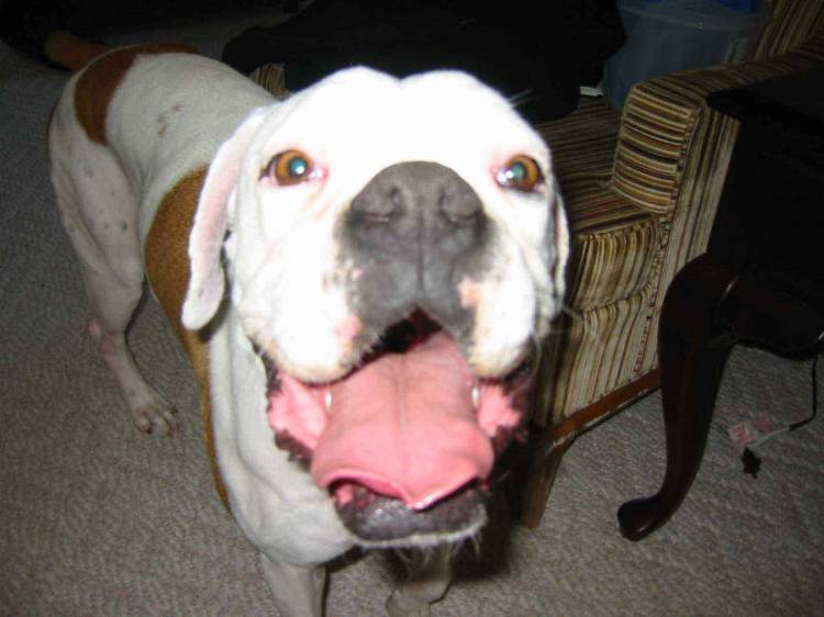 Big Smile