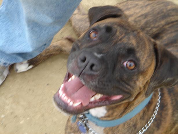 Big Smile!