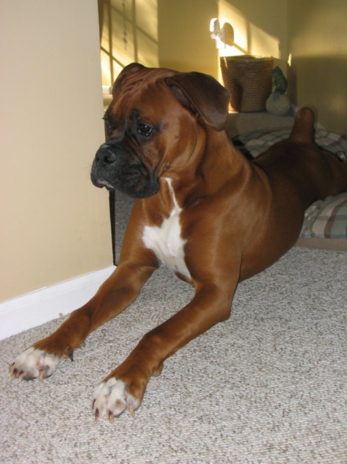 Big stretch.